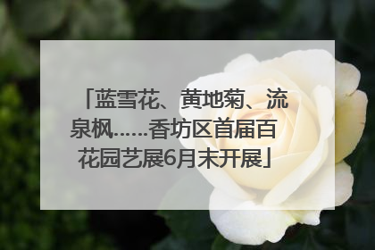 蓝雪花、黄地菊、流泉枫……香坊区首届百花园艺展6月末开展